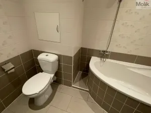 Pronájem bytu 1+1, Most, Petra Jilemnického, 36 m2