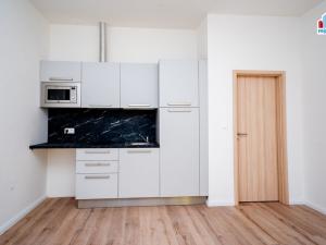 Pronájem bytu 1+kk, Plzeň, Kotkova, 25 m2