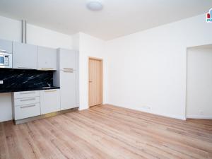 Pronájem bytu 1+kk, Plzeň, Kotkova, 25 m2