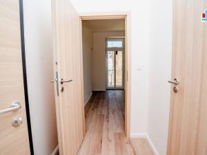 Pronájem bytu 1+kk, Plzeň, Kotkova, 25 m2