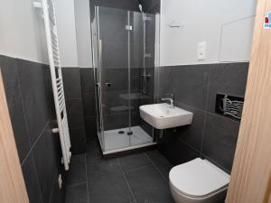 Pronájem bytu 1+kk, Plzeň, Kotkova, 25 m2