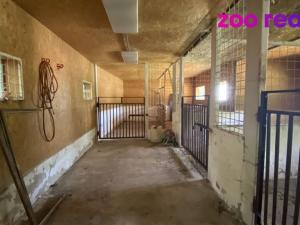 Pronájem zemědělské usedlosti, Málkov, 125 m2