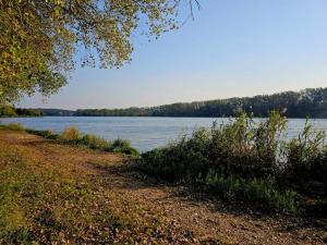 Prodej pozemku pro bydlení, Tuchlovice - Srby, 536 m2