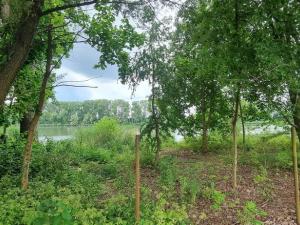 Prodej pozemku pro bydlení, Tuchlovice - Srby, 543 m2