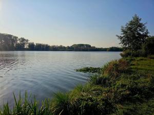 Prodej pozemku pro bydlení, Tuchlovice - Srby, 543 m2