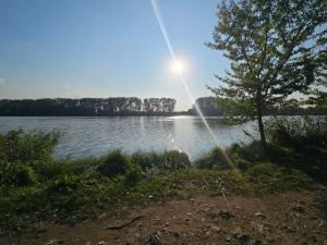 Prodej pozemku pro bydlení, Tuchlovice - Srby, 543 m2