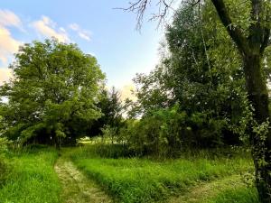 Prodej pozemku pro bydlení, Vratimov, 1634 m2