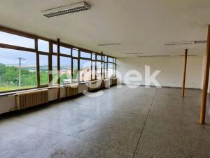 Pronájem obchodního prostoru, Bánov, 150 m2