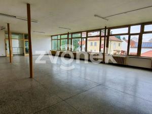 Pronájem obchodního prostoru, Bánov, 150 m2