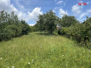 Prodej pozemku pro bydlení, Lešná, 765 m2
