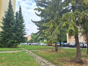 Pronájem bytu 2+kk, Olomouc - Nová Ulice, Kmochova, 53 m2