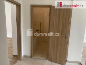 Pronájem bytu 2+kk, Ústí nad Labem - Klíše, Šaldova, 62 m2
