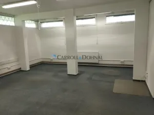 Pronájem skladu, Brno - Lesná, Loosova, 38 m2