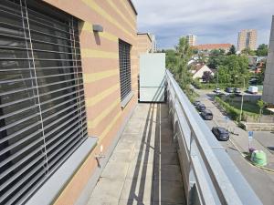 Pronájem bytu 2+kk, Praha - Žižkov, V zahrádkách, 56 m2