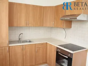 Prodej bytu 1+1, Přerov, Bayerova, 33 m2
