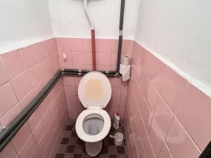 Prodej obchodního prostoru, Humpolec - Petrovice, 121 m2