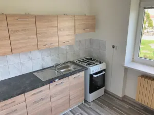 Prodej bytu 1+1, Dolní Benešov, Osada míru, 29 m2