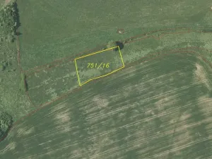 Dražba louky, Neurazy, 4319 m2