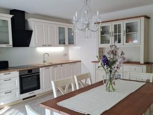 Prodej rodinného domu, Karlovy Vary, Sopečná, 350 m2