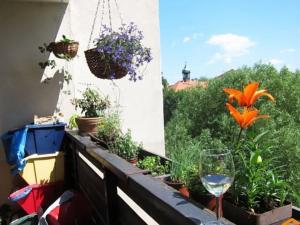 Pronájem bytu 2+kk, Praha - Strašnice, Gutova, 43 m2
