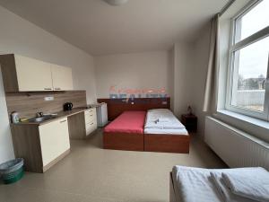 Pronájem bytu 1+kk, České Budějovice, Jiráskovo nábř., 30 m2