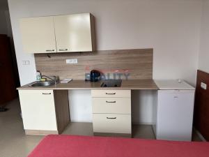 Pronájem bytu 1+kk, České Budějovice, Jiráskovo nábř., 30 m2