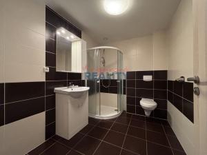 Pronájem bytu 1+kk, České Budějovice, Jiráskovo nábř., 30 m2