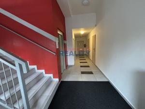 Pronájem bytu 1+kk, České Budějovice, Jiráskovo nábř., 30 m2
