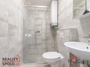 Pronájem bytu 2+kk, Opava, 44 m2