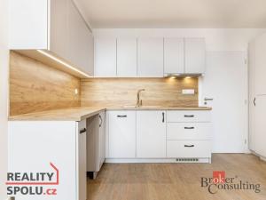 Pronájem bytu 2+kk, Opava, 44 m2