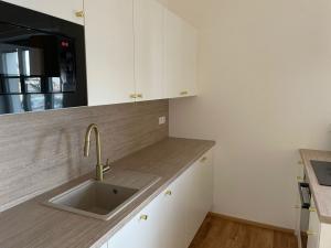 Pronájem bytu 2+kk, Brno - Trnitá, Opuštěná, 60 m2