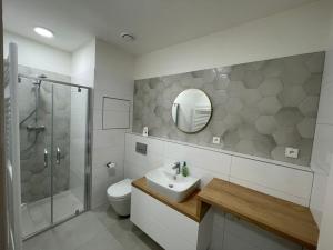 Pronájem bytu 2+kk, Brno - Trnitá, Opuštěná, 60 m2