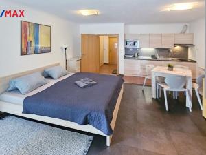 Prodej bytu 1+kk, Harrachov - Nový Svět, 32 m2