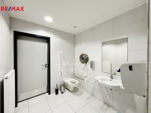 Pronájem kanceláře, Písek - Pražské Předměstí, Vladislavova, 650 m2