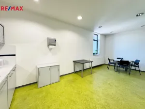 Pronájem kanceláře, Písek - Pražské Předměstí, Vladislavova, 650 m2