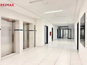 Pronájem kanceláře, Písek - Pražské Předměstí, Vladislavova, 65 m2