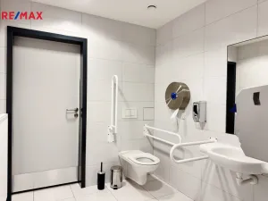 Pronájem kanceláře, Písek - Pražské Předměstí, Vladislavova, 40 m2