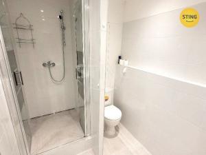 Pronájem bytu 1+1, Opava, Zeyerova, 35 m2