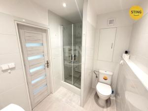 Pronájem bytu 1+1, Opava, Zeyerova, 35 m2
