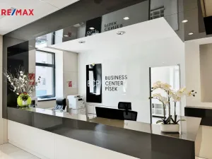 Pronájem kanceláře, Písek - Pražské Předměstí, Vladislavova, 20 m2