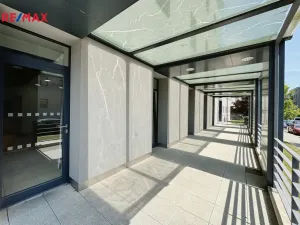 Pronájem restaurace, Písek - Pražské Předměstí, Vladislavova, 362 m2