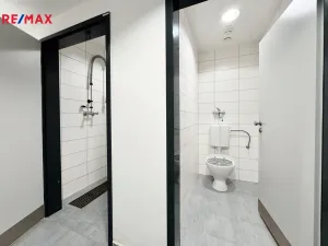 Pronájem restaurace, Písek - Pražské Předměstí, Vladislavova, 362 m2