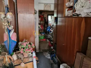 Dražba zemědělské usedlosti, Všenory, Na Benátkách, 279 m2