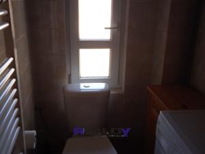Pronájem bytu 1+kk, Žatec, Tyršova, 29 m2