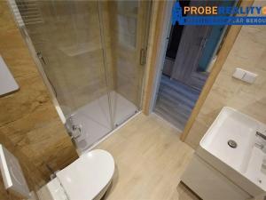 Pronájem bytu 2+kk, Králův Dvůr, Nad Stadionem, 40 m2