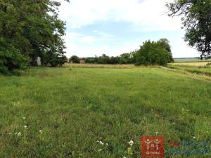 Prodej pozemku pro bydlení, Dyjákovice, 4308 m2