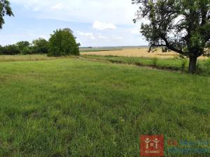 Prodej pozemku pro bydlení, Dyjákovice, 4308 m2
