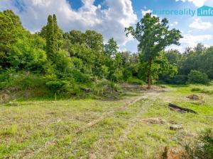 Prodej pozemku pro bydlení, Zákupy - Brenná, 893 m2