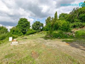 Prodej pozemku pro bydlení, Zákupy - Brenná, 893 m2
