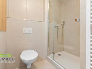 Pronájem bytu 1+kk, Nové Město nad Metují, T. G. Masaryka, 31 m2
